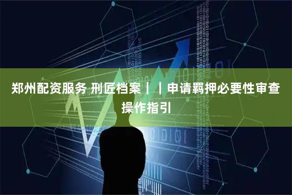 郑州配资服务 刑匠档案||申请羁押必要性审查操作指引